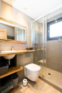 a bathroom with a toilet and a sink and a shower at Cozy chaleett on SLOPES in Crest-Voland +25 photos