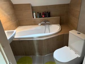 a small bathroom with a toilet and a tub at Apartmán Niky u Klínovce in Jáchymov +12 photos