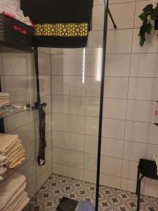 a shower with a glass door in a bathroom at Casa Peaceful in Mysen