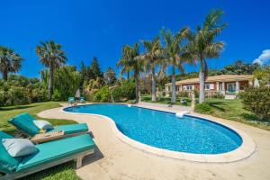 a swimming pool with palm trees and a house at Gaia Residence in Argostoli