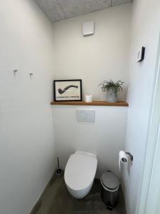 a bathroom with a toilet and a picture on the wall at Skansely in Sønderborg