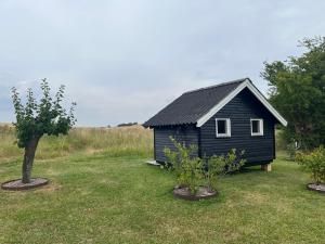 a small black house in a field with a tree at Skansely in Sønderborg