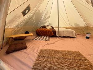 a tent with a bed and a table in it at Mytik Shack Sucré in Saint-René-de-Matane