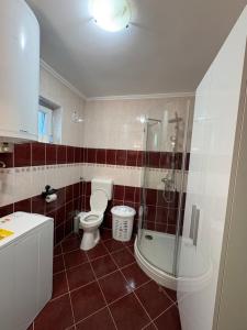 a bathroom with a toilet and a shower and a sink at Bozóki Apartman in Kiskunmajsa