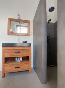 een badkamer met een wastafel en een spiegel bij De Grift in Apeldoorn +10 foto's