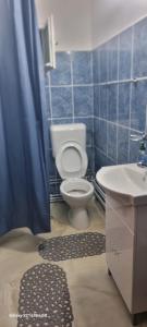 a blue tiled bathroom with a toilet and a sink at Remetea 292 in Remetea +30 photos