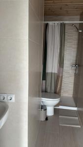 a bathroom with a toilet and a shower and a sink at VTAR Casa Carmen en Gilena in Gilena