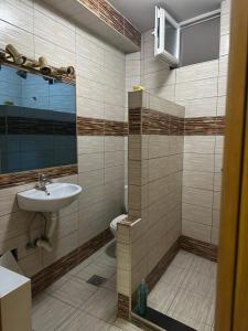 a bathroom with a sink and a toilet at Kosvegas apartment 10 in Kosovo Polje