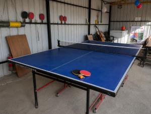 a blue ping pong table in a garage at Echoes in the Hills in Mukteshwar