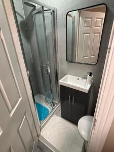 a bathroom with a shower and a sink at Shamrock Quay in Cork