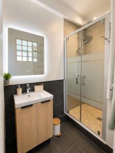 a bathroom with a sink and a shower at L'éclat du phare in Calais