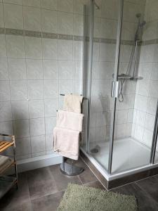 a bathroom with a shower with two towels and a rug at Apartments Zur Eiche in Großräschen