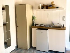 a kitchen with a refrigerator and a sink at Open Sky Verige Studio in Donja Jošica
