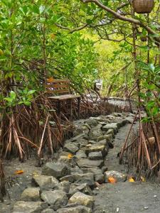 a stone path with a bench and trees at cascade island in Kollam