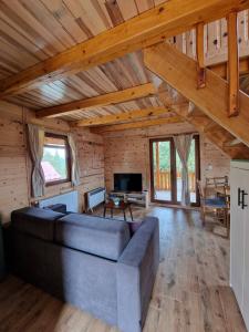 a large living room with a couch and a tv at Brvnara Aleksandra Tara Sekulić in Konjska Reka +24 photos
