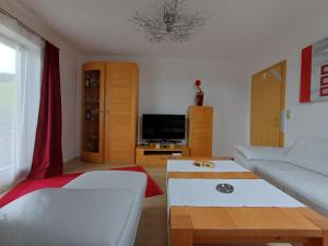 a living room with a couch and a tv at APARTMENT Eva in OBDACH in Obdach