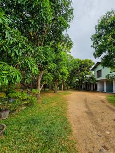 a dirt road in front of a house with trees at Jayaru Guest House in Polonnaruwa