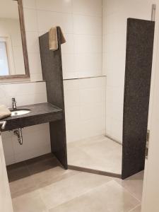 a bathroom with a sink and a shower at Brenzapartments Heidenheim in Heidenheim an der Brenz