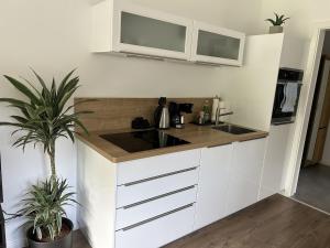 a kitchen with white cabinets and a sink at Moderne 1-Zimmer-Gästewohnung im Neubau mit schönem Garten in Pronstorf +10 photos