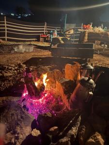 a fire pit on the beach at night at Waatad in Irbid