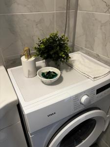 a plant and a bowl on top of a washing machine at Modern Panoramic Sea View Apartment with Large Terrace in Pag