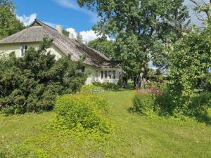 a white house in a yard with trees and flowers at Zen Garden House in Võduvere +39 photos
