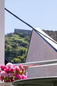 a view of a mountain from a window with flowers at UrApartment in Prizren +13 photos