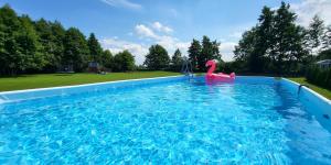 a swimming pool with a pink swan in the water at Domki Lilia Sarbinowo in Sarbinowo