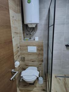a small bathroom with a toilet and a water tank at Aurora Kopaonik in Raška