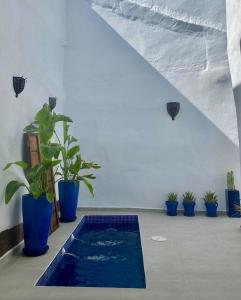 ein Zimmer mit Topfpflanzen und einem blauen Teich in der Unterkunft Zarcillo in Olvera