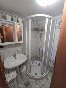 a bathroom with a shower and a sink at Apartma Dajana in Lokve +10 photos