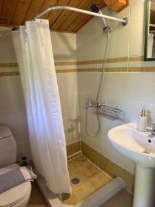 a bathroom with a shower and a sink at Wild Life Chalets in Rafína +9 photos