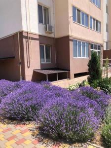 a garden with purple flowers in front of a building at New Marine Apartment in Yuzhne
