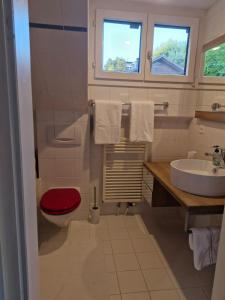 a bathroom with a red toilet and a sink at Charming House In Herrliberg in Herrliberg