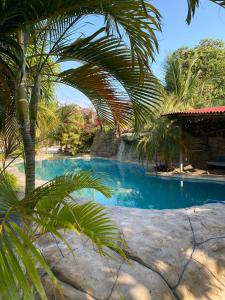 a swimming pool with palm trees in a resort at Chalé Jacuzzi Fortim in Fortim