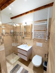 a bathroom with a toilet and a shower and a sink at Holiday House - OLD QUEEN in Šmrika +55 photos