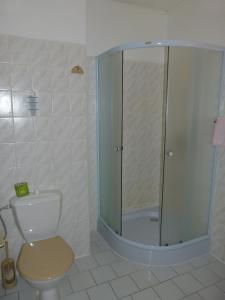 a bathroom with a toilet and a glass shower at Hotel Pelikan in Mariánské Lázně