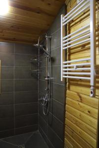a shower in a bathroom with a wooden ceiling at Cottage Mildiani in Mestia +176 photos