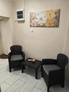 a waiting room with two chairs and a table and a painting at Ketty apartments in Niš