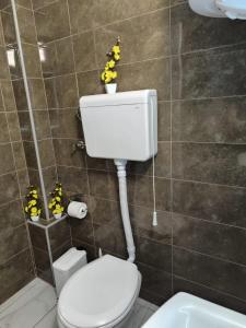a bathroom with a toilet and flowers on the wall at Ketty apartments in Niš
