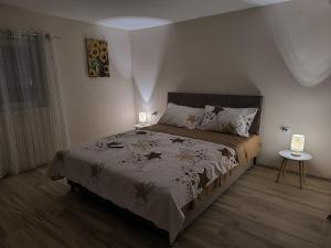 a bedroom with a large bed in a room at Ketty apartments in Niš