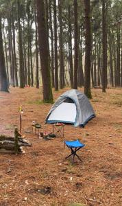 a tent and a picnic table in a forest at Khan Camping Naranag in Sonāmarg