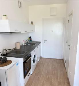 a kitchen with a sink and a washing machine at Cosy Adriatic Studio in Kotor
