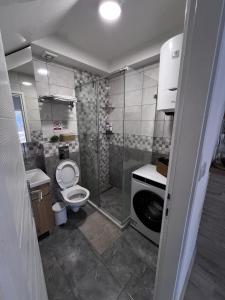 a bathroom with a shower and a toilet and a sink at Sanska 25 in Dušanovac (historical)