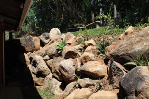 Foto sihtkohas Monteverde asuva majutusasutuse Greemount Hotel galeriist