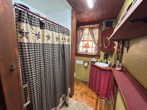 a bathroom with a shower and a sink in it at Old Deerfield Treasure! in Deerfield +50 photos