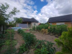 a vegetable garden in front of a house at Casa Transilvania Tea in Orosia
