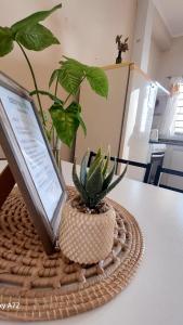 a potted plant sitting on a table with a laptop at Departamento Naon SP in San Pedro +4 photos