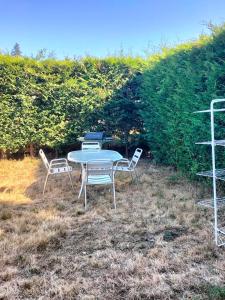 a table and chairs in a yard with a hedge at Bienvenu chez moi 