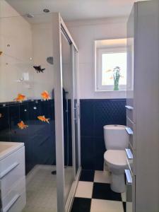 a bathroom with a toilet and a glass shower at Bienvenu chez moi  +8 photos